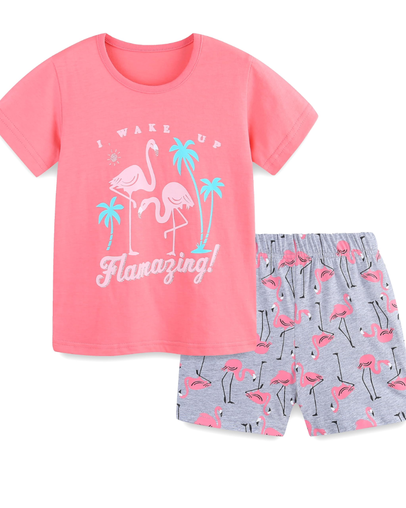 Willow Girls Cotton T-Shirt & Shorts Set – Printed Summer Two-Piece Outfit